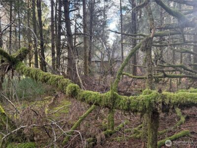 142 XXX 142nd Lane , Long Beach, WA 98631 - Photo 6