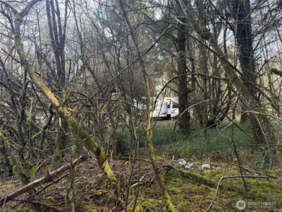 142 XXX 142nd Lane , Long Beach, WA 98631 - Photo 7