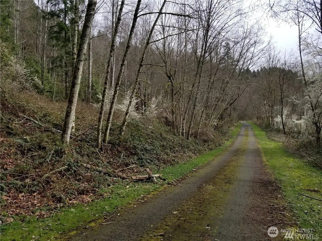 0 NE 58th Street NE, Redmond, WA 98053