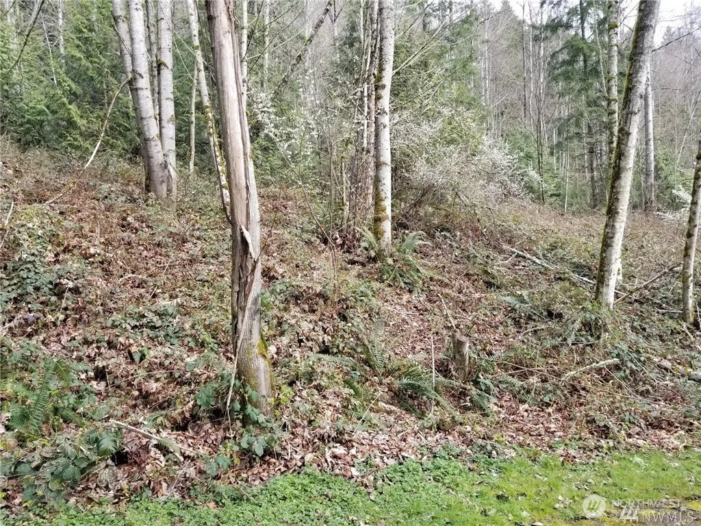 0 NE 58th Street NE, Redmond, WA 98053