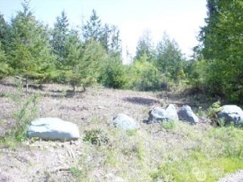 1111 xxxx Whiteman Road , Longbranch, WA 98351