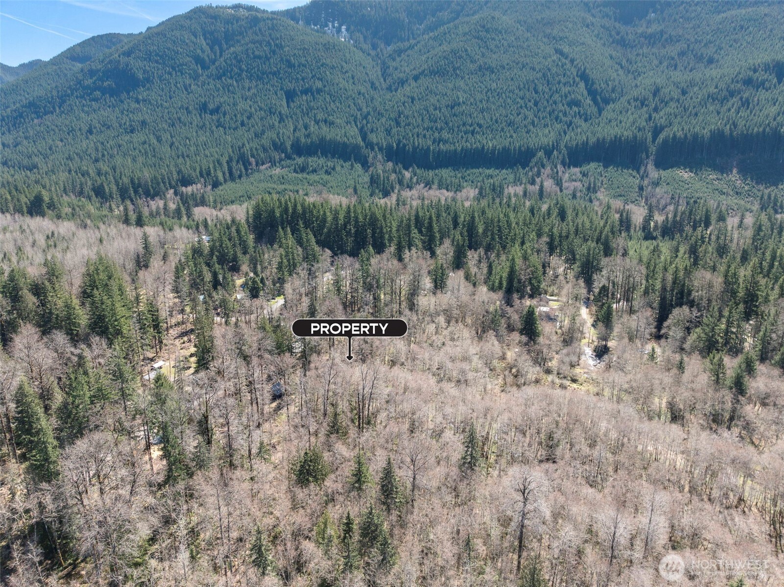 0 XX Fairway Drive , Eatonville, WA 98328