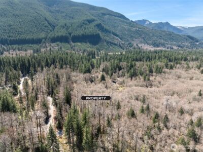 0 XX Fairway Drive , Eatonville, WA 98328 - Photo 13