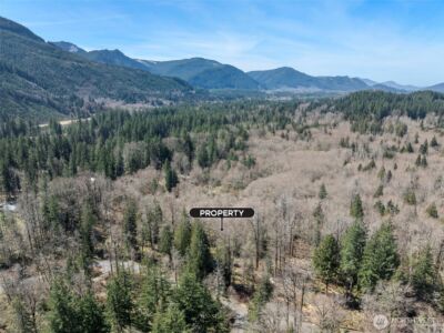 0 XX Fairway Drive , Eatonville, WA 98328 - Photo 14