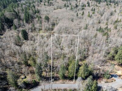 0 XX Fairway Drive , Eatonville, WA 98328 - Photo 2