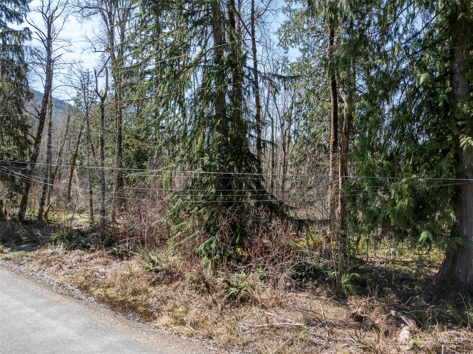 0 XX Fairway Drive , Eatonville, WA 98328