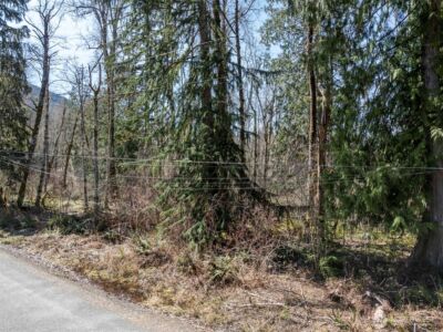 0 XX Fairway Drive , Eatonville, WA 98328 - Photo 3