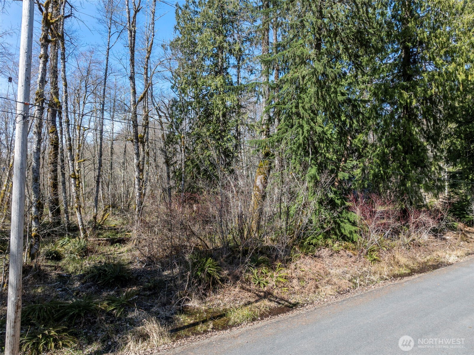 0 XX Fairway Drive , Eatonville, WA 98328