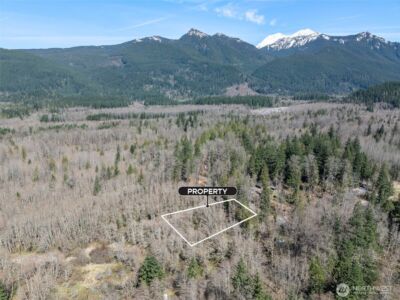 0 XX Fairway Drive , Eatonville, WA 98328 - Photo 5