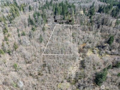 0 XX Fairway Drive , Eatonville, WA 98328 - Photo 8