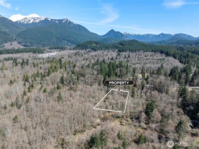 0 XX Fairway Drive , Eatonville, WA 98328 - Photo 10