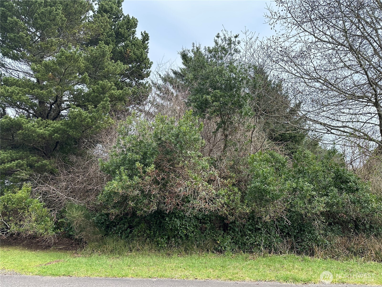 204 Muskrat Ct Sw , Ocean Shores, WA 98569