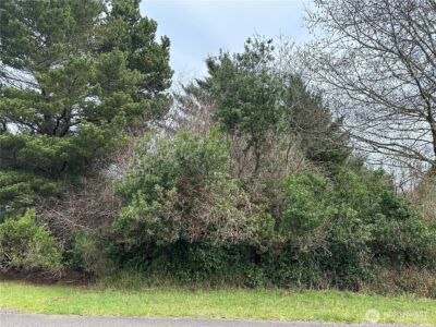 204 Muskrat Ct Sw , Ocean Shores, WA 98569 - Photo 1