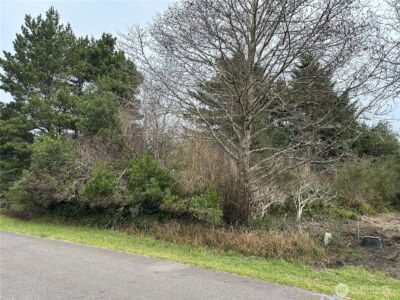 204 Muskrat Ct Sw , Ocean Shores, WA 98569 - Photo 2