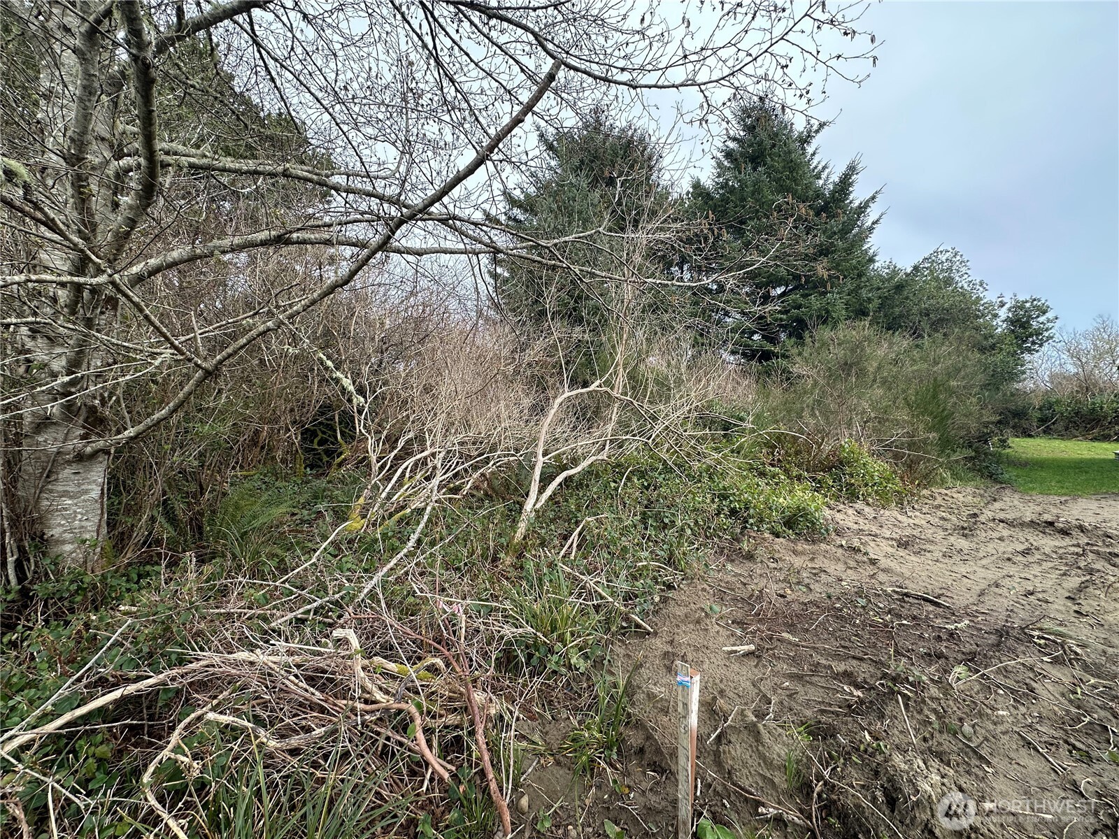 204 Muskrat Ct Sw , Ocean Shores, WA 98569