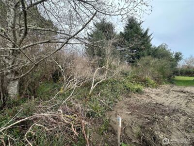 204 Muskrat Ct Sw , Ocean Shores, WA 98569 - Photo 3