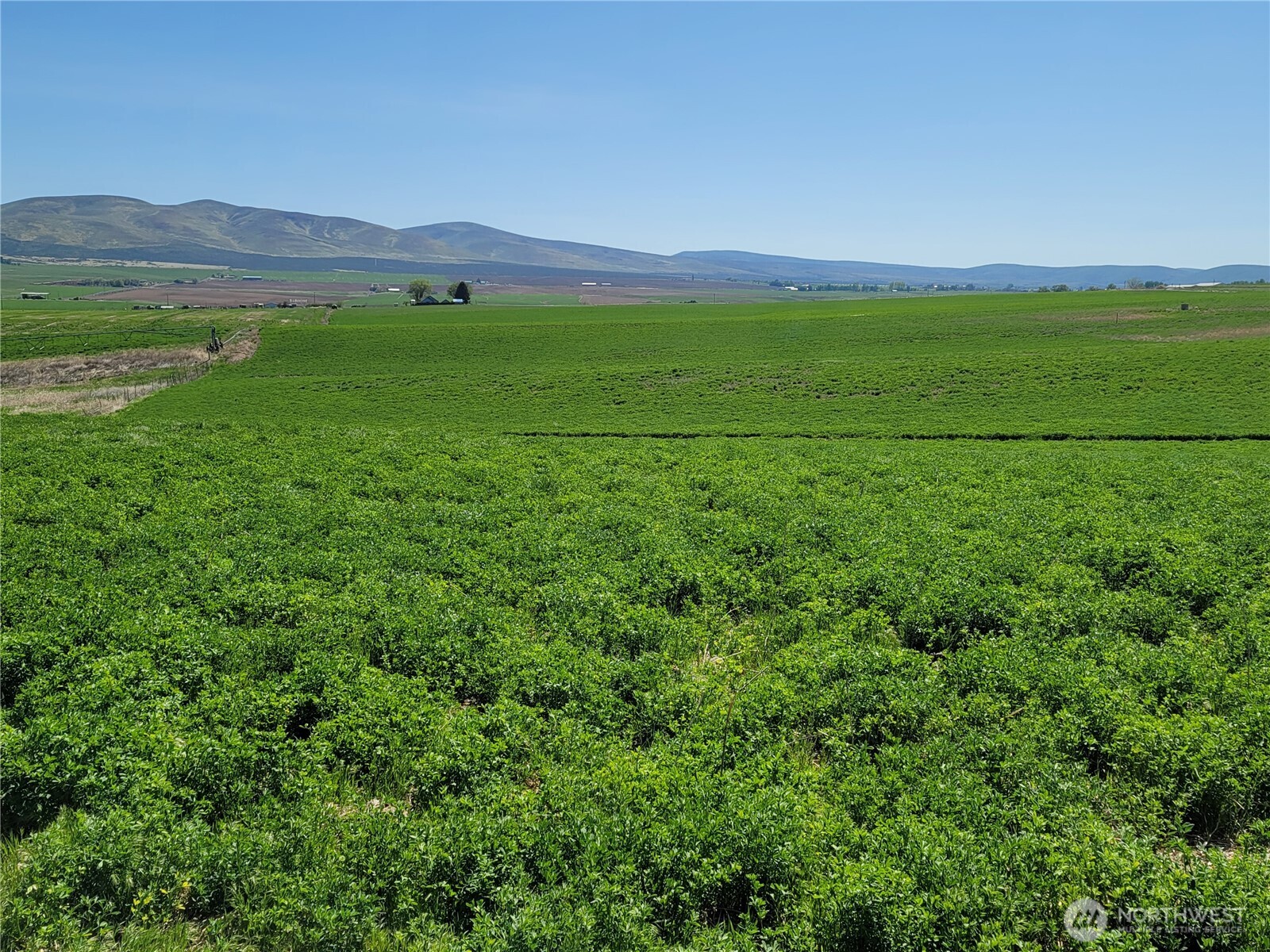 1612 Katen Road , Ellensburg, WA 98926