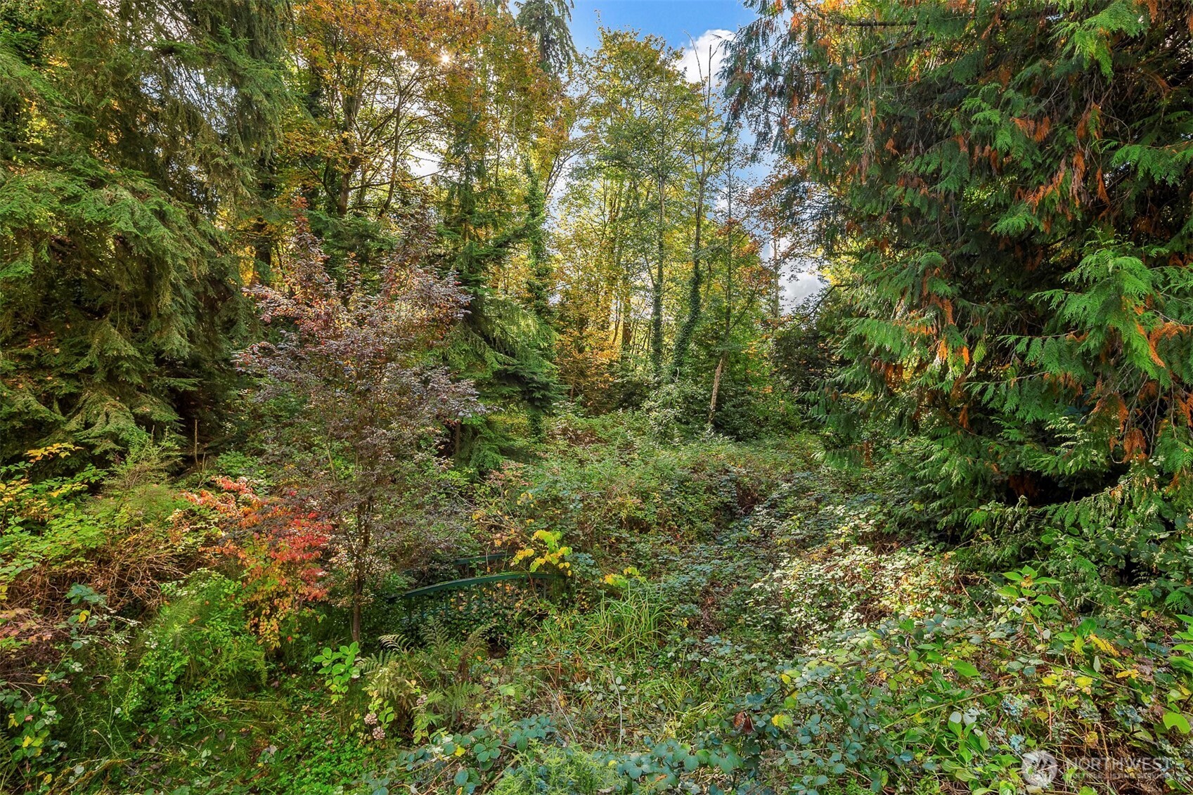 13515 62nd Avenue NE, Kirkland, WA 98034