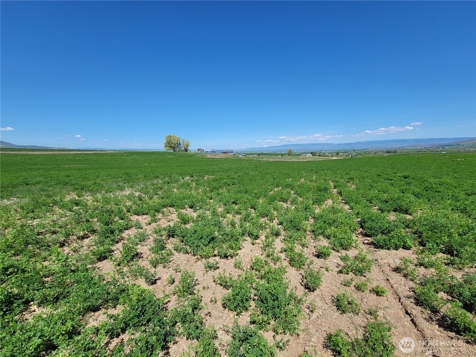 1636 Katen Road , Ellensburg, WA 98926