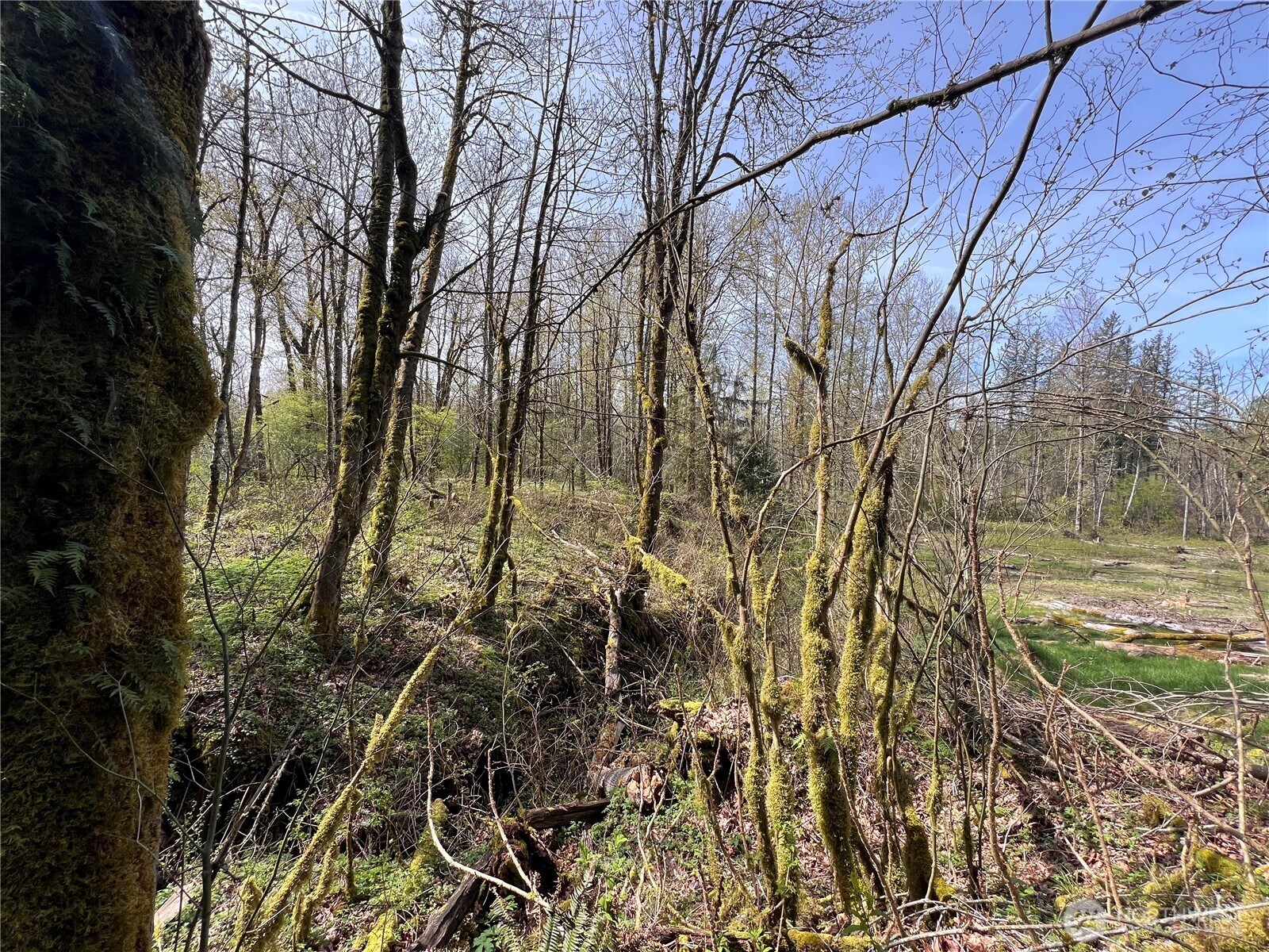 35 XXX Cumberland Way SE, Enumclaw, WA 98022