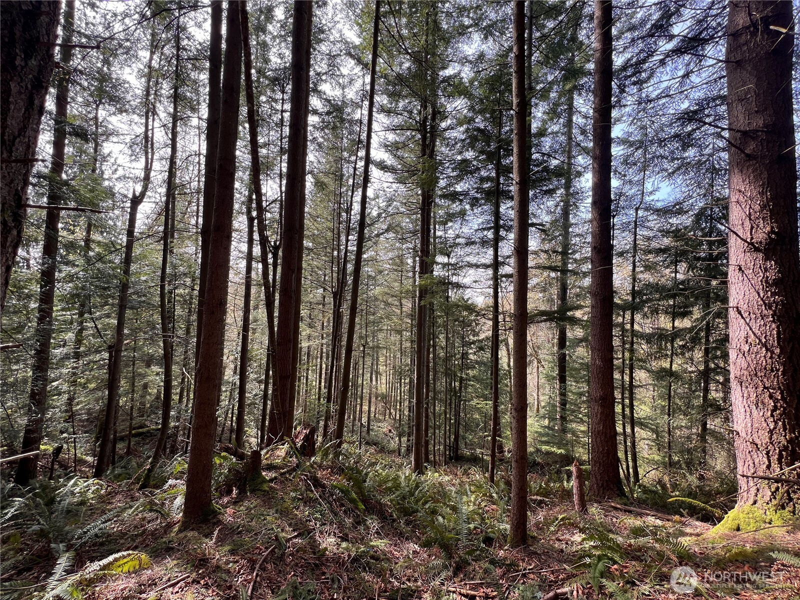 35 XXX Cumberland Way SE, Enumclaw, WA 98022