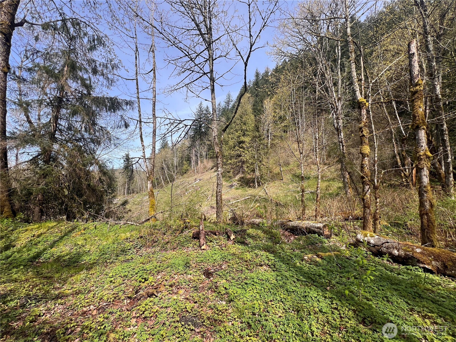 35 XXX Cumberland Way SE, Enumclaw, WA 98022