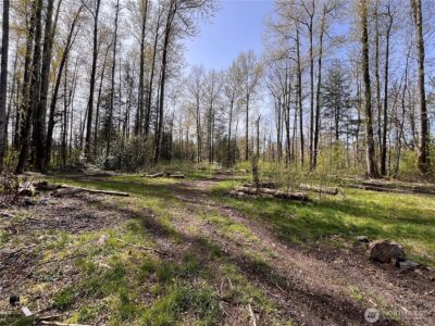 35 XXX Cumberland Way SE, Enumclaw, WA 98022 - Photo 5