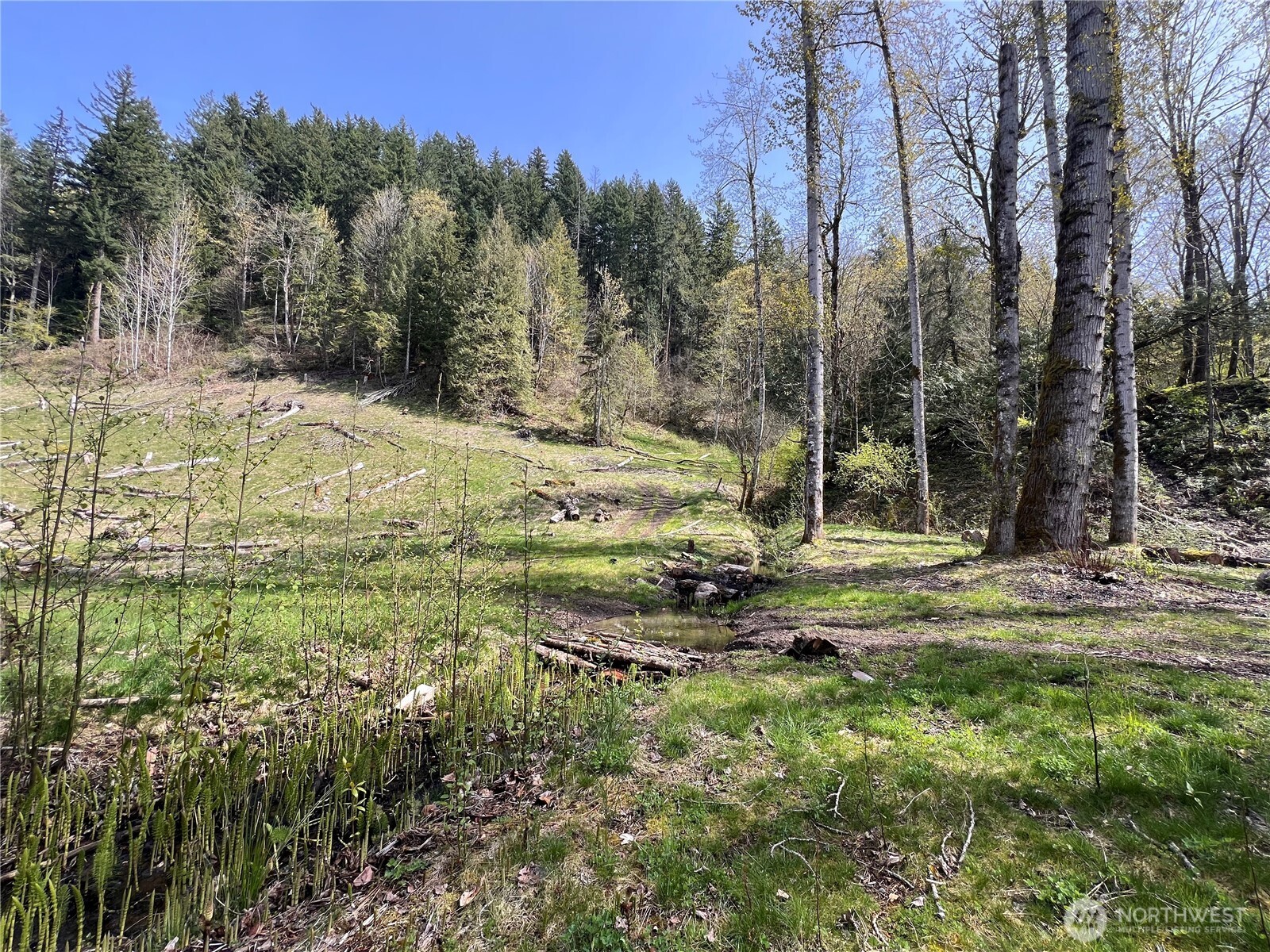 35 XXX Cumberland Way SE, Enumclaw, WA 98022