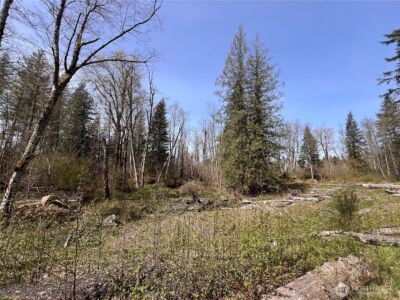 35 XXX Cumberland Way SE, Enumclaw, WA 98022 - Photo 8
