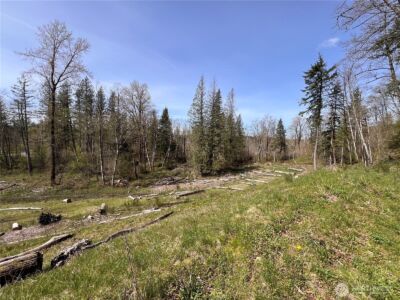 35 XXX Cumberland Way SE, Enumclaw, WA 98022 - Photo 10