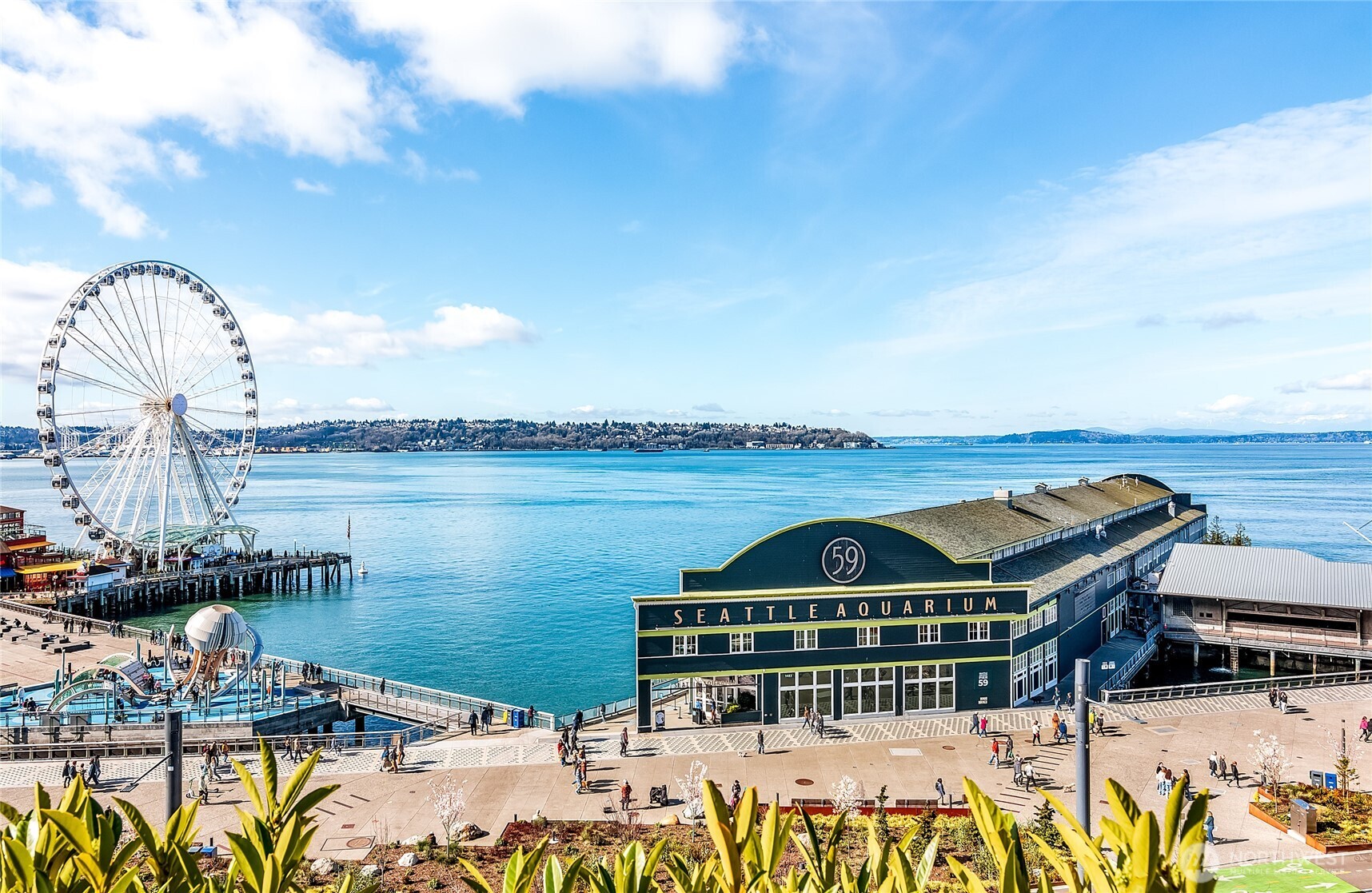 1425 Western Avenue #U403, Seattle, WA 98101