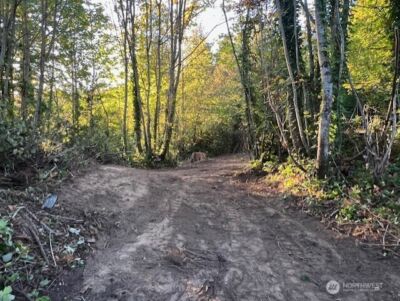 1981 Chico Way NW, Bremerton, WA 98310 - Photo 12