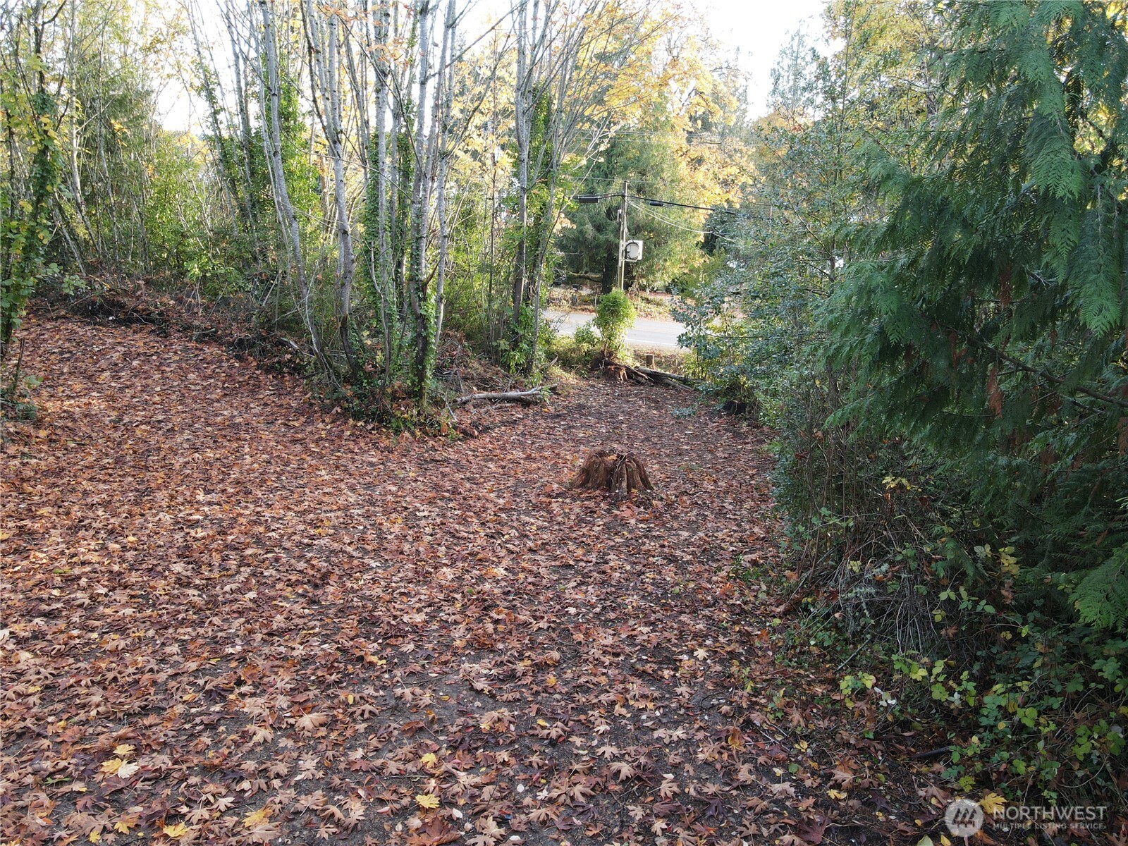 1981 Chico Way NW, Bremerton, WA 98310