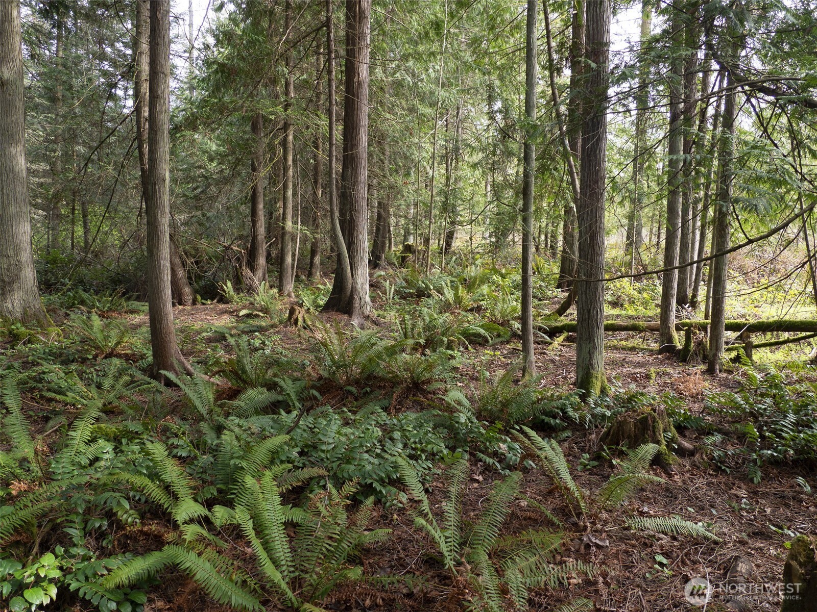 2116 S 7th Avenue , Sequim, WA 98382