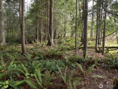 2116 S 7th Avenue , Sequim, WA 98382 - Photo 5