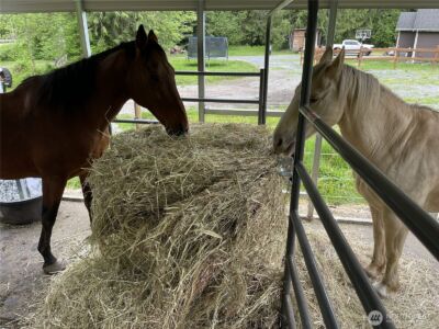40407 Mountain Highway E , Eatonville, WA 98328 - Photo 29