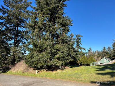 999 P Street , Port Townsend, WA 98368 - Photo 12