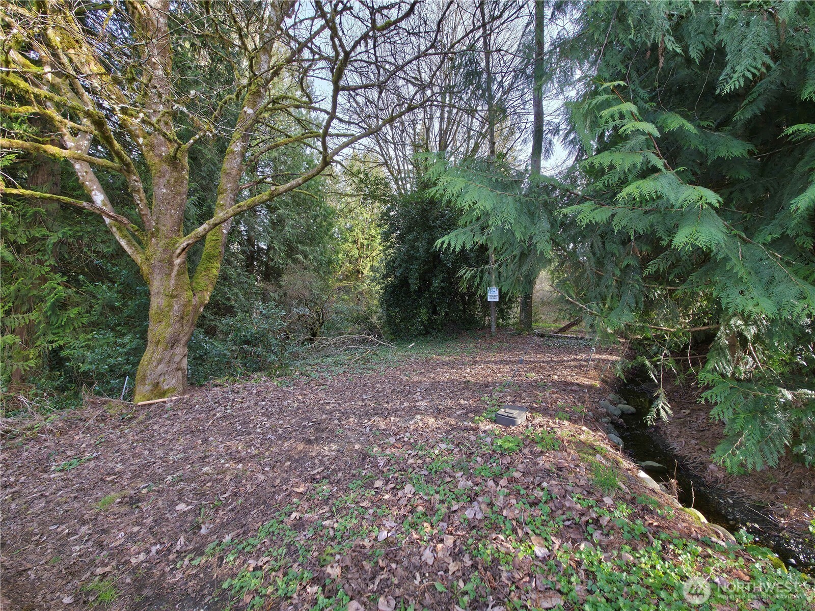 19455 SE 168th Street , Renton, WA 98058