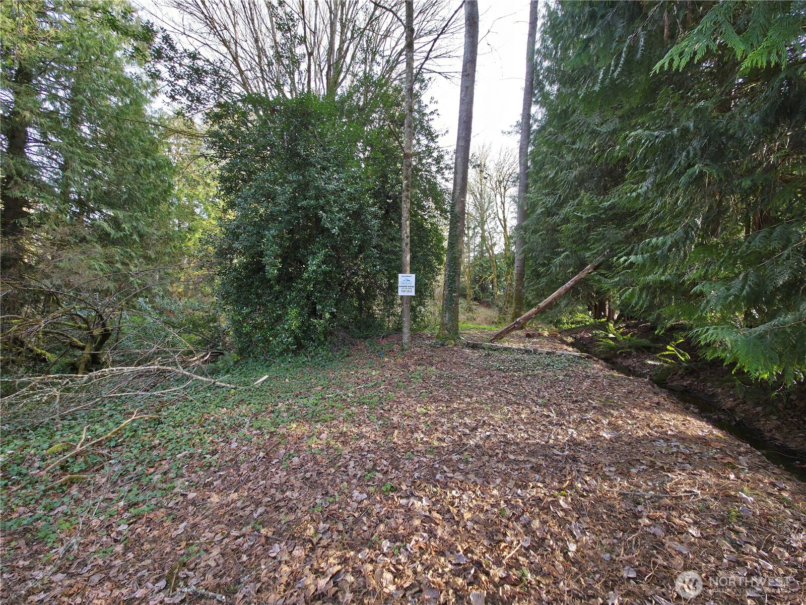 19455 SE 168th Street , Renton, WA 98058