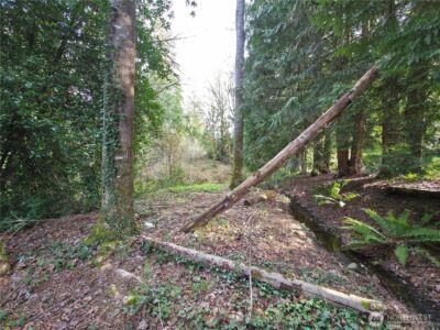 19455 SE 168th Street , Renton, WA 98058 - Photo 4