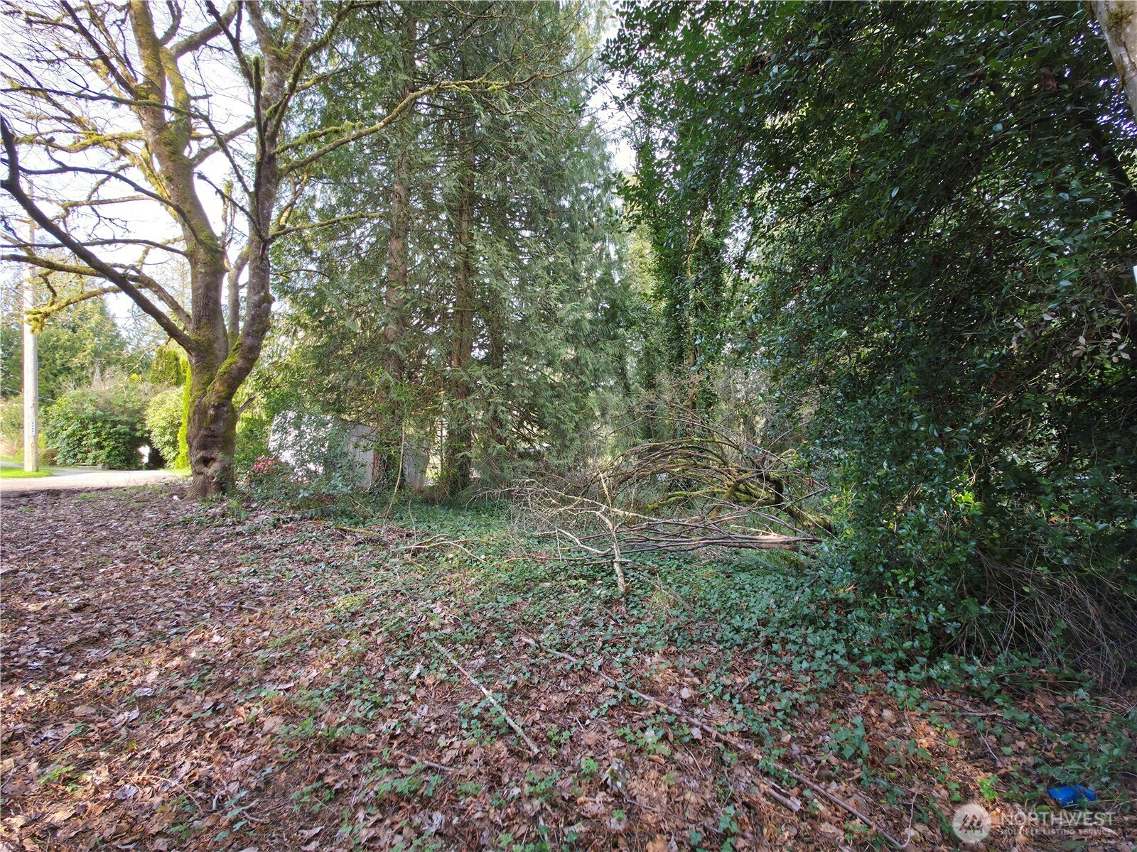 19455 SE 168th Street , Renton, WA 98058