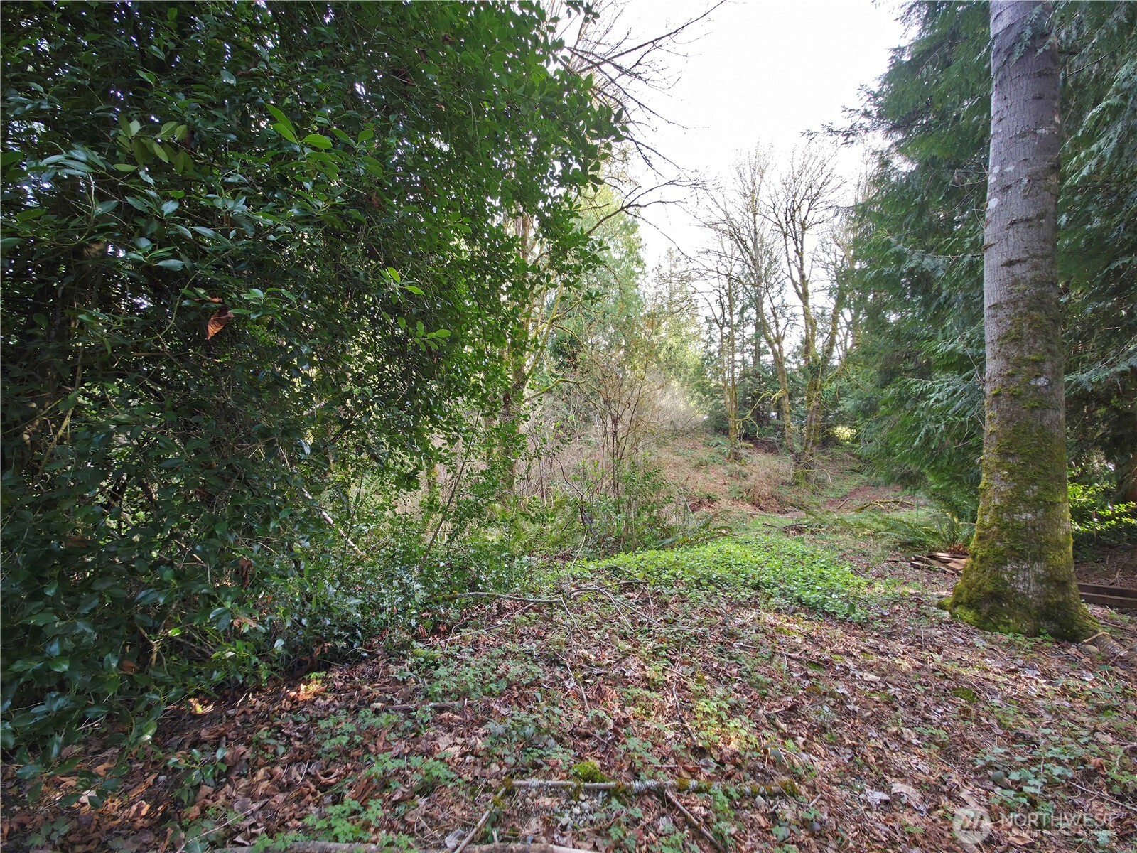 19455 SE 168th Street , Renton, WA 98058