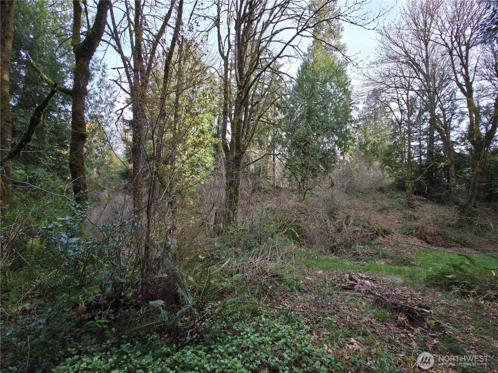 19455 SE 168th Street , Renton, WA 98058