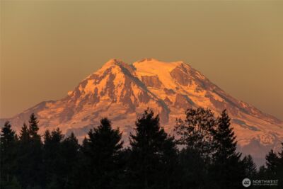 9512 Engelmann Drive SE, Lacey, WA 98513 - Photo 18