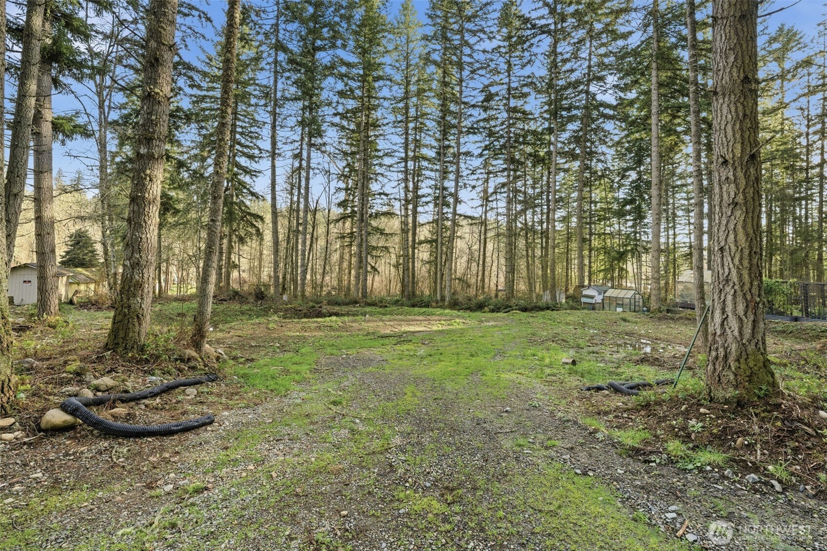 34315 Tanwax Drive E, Eatonville, WA 98328