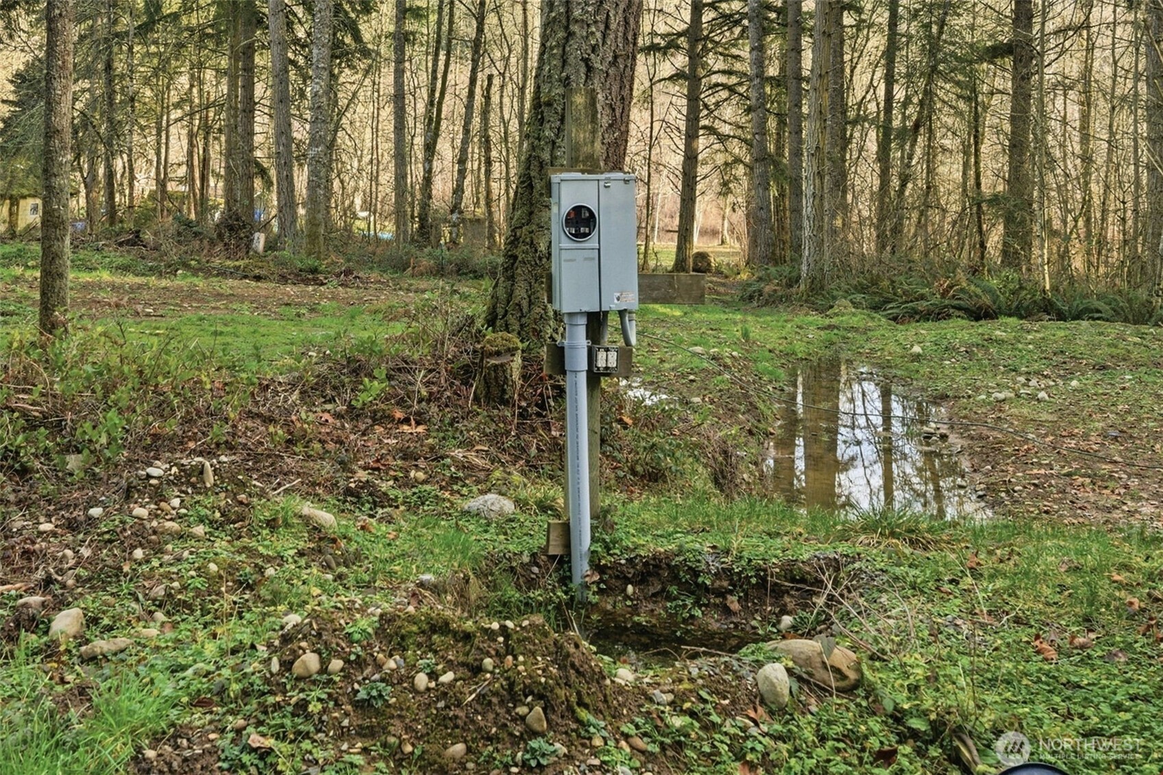 34315 Tanwax Drive E, Eatonville, WA 98328