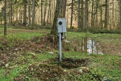 34315 Tanwax Drive E, Eatonville, WA 98328 - Photo 19