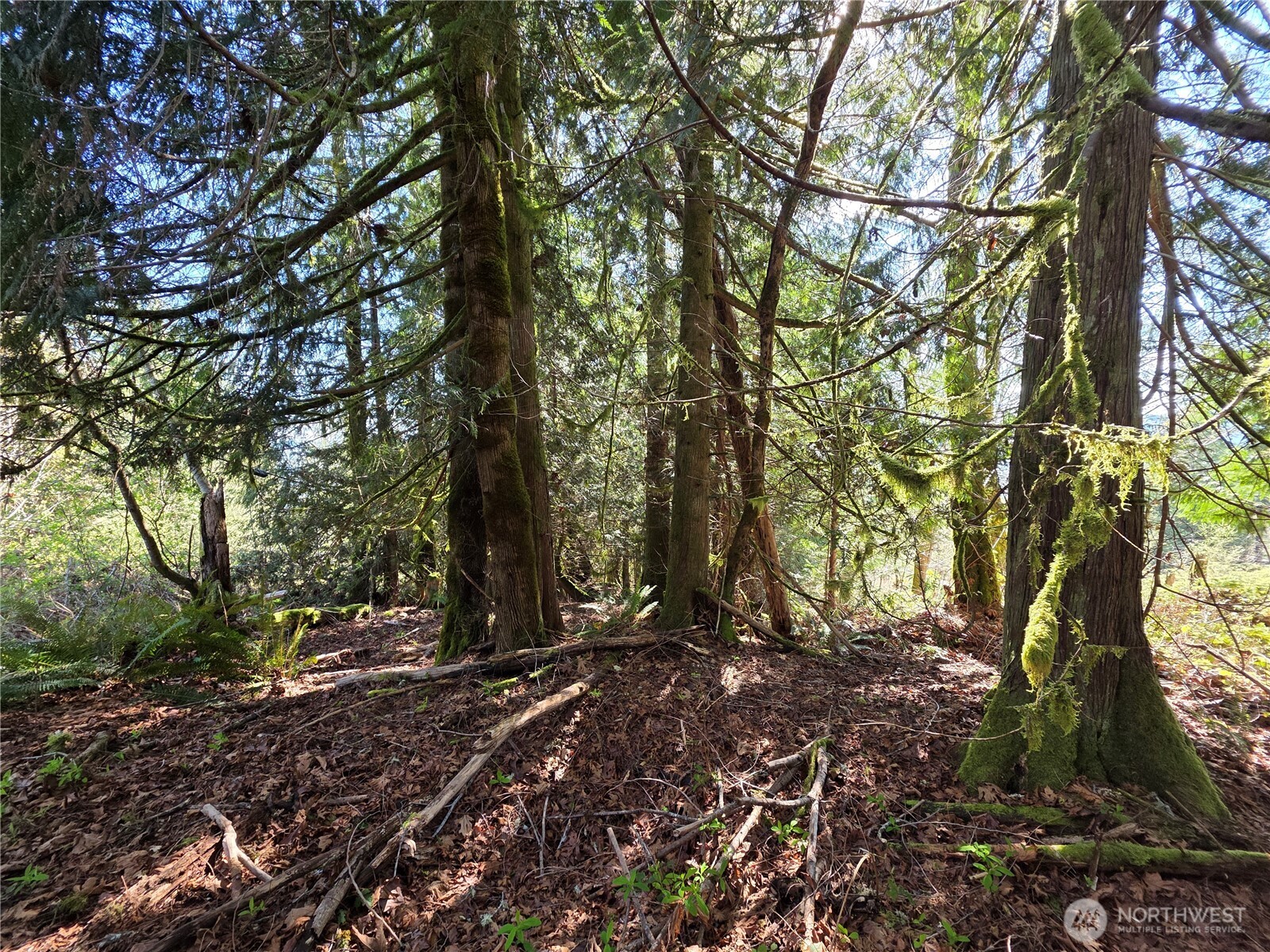 0 Cedar Place , Brinnon, WA 98320