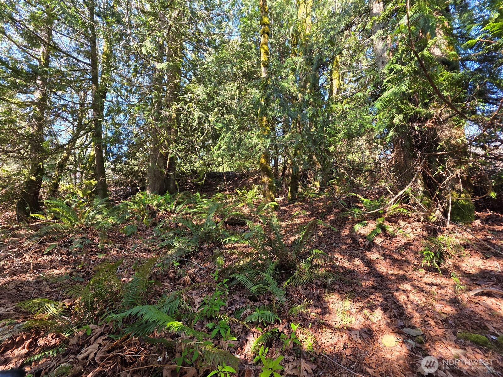 0 Cedar Place , Brinnon, WA 98320