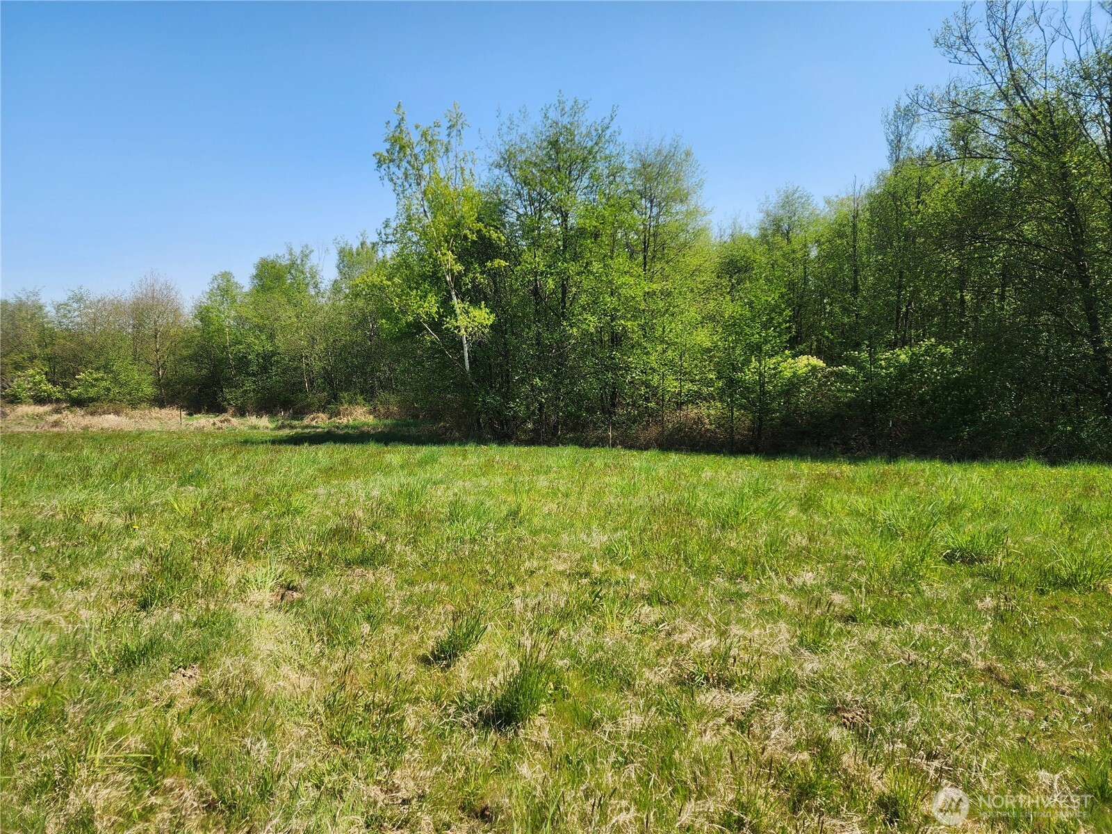 1505 Falcon Lane , Ferndale, WA 98248